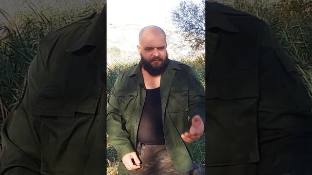 Нападение ворон на человека ( походные истории ) смотреть онлайн
