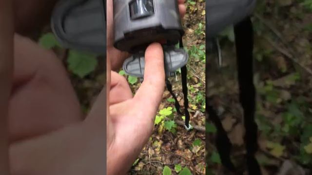 IMG 89171 смотреть онлайн