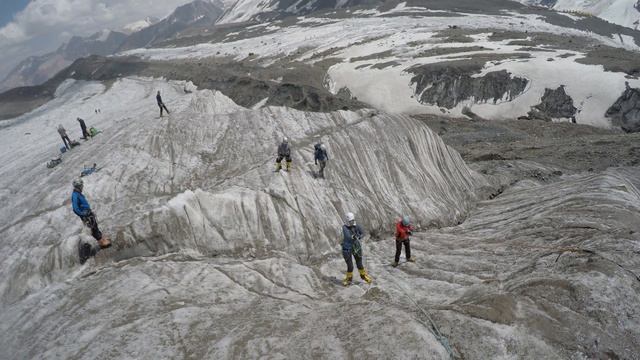 Линии Жизни