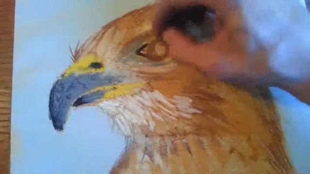 60-Second Sketch - Red-Tailed Hawk смотреть онлайн