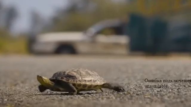 (1#ЧАСТЬ) НУ ХОТЬ БЫ ОДНА ТАЧКА (МОМЕНТ ИЗ ФИЛЬМА СОННИК) смотреть онлайн