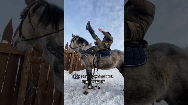 Джигитовка. Подготовительное упражнение.Упражнение пятнашки. Трюки на коне. смотреть онлайн