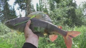 5 день Рыбалка 2023   Иван Сухой