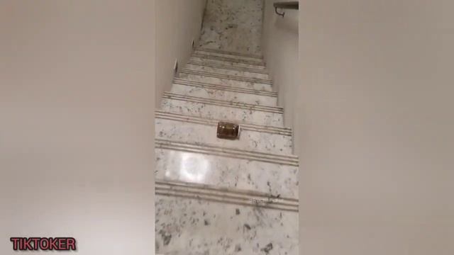 Bottle Rolling Down Stairs ASMR ? TikTok Compilation #4