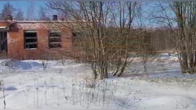 Сталинградец 6х6. В Питере солнечно. смотреть онлайн