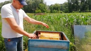 Как сделать солнечную воскотопку за пять минут.