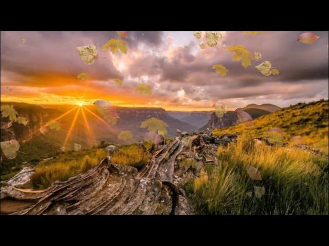 Уральская Осень смотреть онлайн