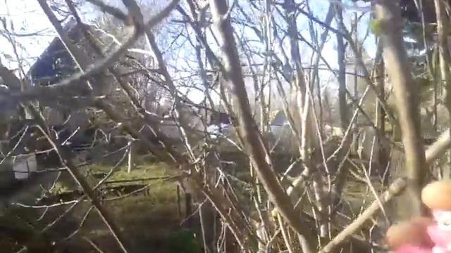 LPS:Дача. # 1 ( Поняша ) смотреть онлайн