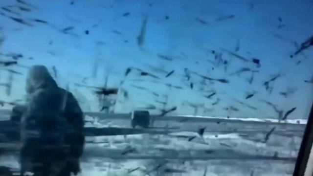 "Мой Российский Флаг" Алиса Супронова. смотреть онлайн