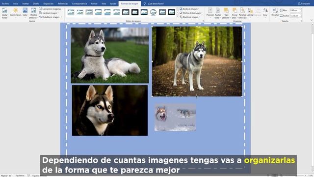 Como Hacer Un Collage En Word ✅