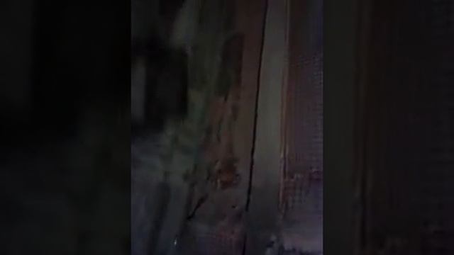 подготовка поверхности сетка под штукатурку смотреть онлайн