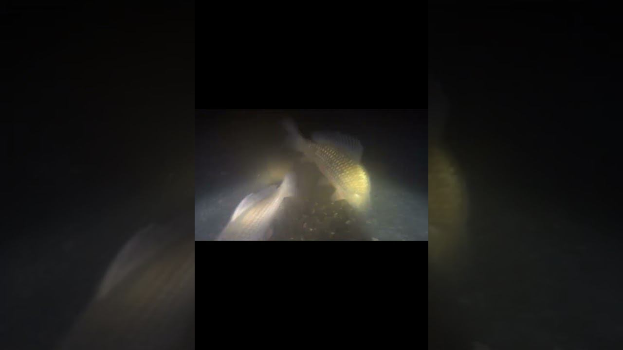 Нашёл Зимавальную яму смотреть онлайн