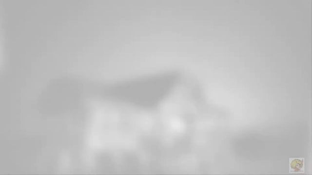 М.Магомаев - Серенада Трубадура (Луч Солнца Золотого) смотреть онлайн