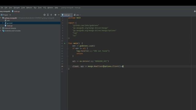 Golang MongoDB Database