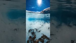 Под водой 🌊

#подводой #красотавокруг #мир #природавокругнас