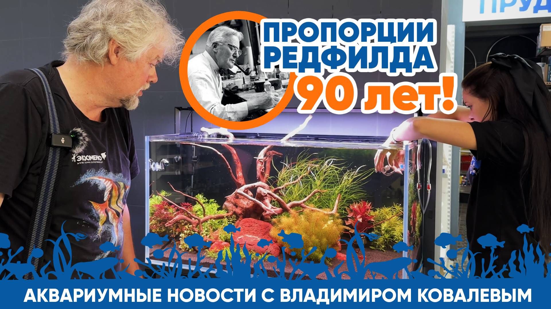 Аквариумные новости с Владимиром Ковалёвым (06.09.24). Пропорции Редфилда - 90 лет! смотреть онлайн