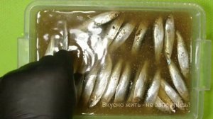 КИЛЬКА ПРЯНОГО ПОСОЛА за сутки / Sprats of spicy salting per day