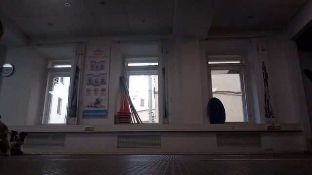 Первые сказочные шаги смотреть онлайн