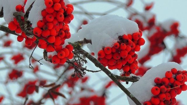 Мэрцишор смотреть онлайн