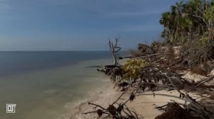 Я взыскал Господа, и Он услышал меня, и от всех опасностей моих избавил меня _ Библия _ Re