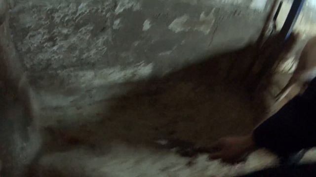 БЕТОННЫЙ ПОЛ В СВИНАРНИКЕ СПУСТЯ ПОЛ ГОДА ИСПОЛЬЗОВАНИЯ!!! ( отчет ) смотреть онлайн