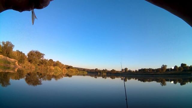 Волгоград прудовая рыбалка.И новый силикон. смотреть онлайн