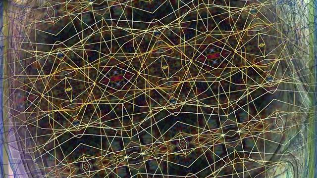 Steve Earle - Everyones in love with you.avi смотреть онлайн