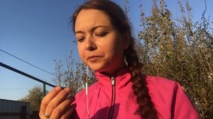 МИНИ АРБУЗ. МЕЛОТРИЯ ШЕРШАВАЯ.