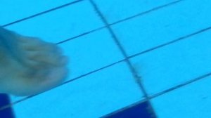 18+ Плавание под музыку Buflyr