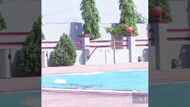 SWIMMING Slowmo 240fps Testing Canon PowerShot SX730 HS смотреть онлайн