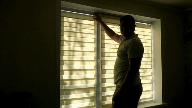 рулонная штора день ночь или зебра система мини, открывное окно на лески о смотреть онлайн