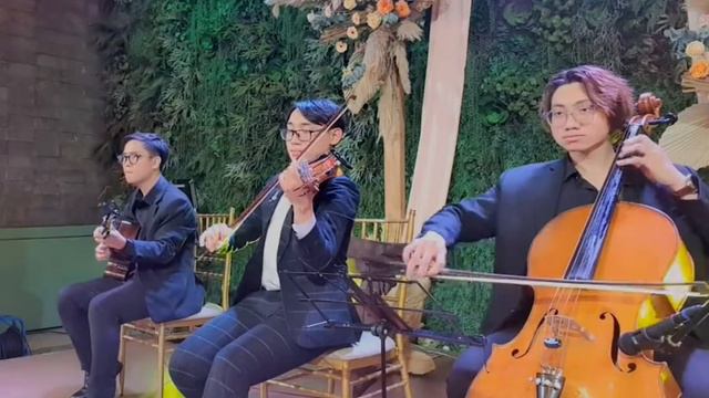 Can't Help Falling In Love - Elvis Presley | Violin, Guitar, Cello live cover смотреть онлайн