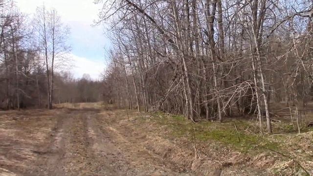 Древние земли Вологодской области. Поход с историческим рассказом. Священный камень. смотреть онлайн