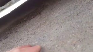 Обзор Mercedes benz vaneo a170 tdi