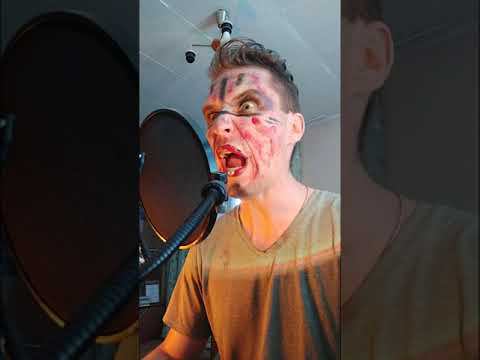 Valhalla Calling Me / Valhalla Ruft Nach Mir