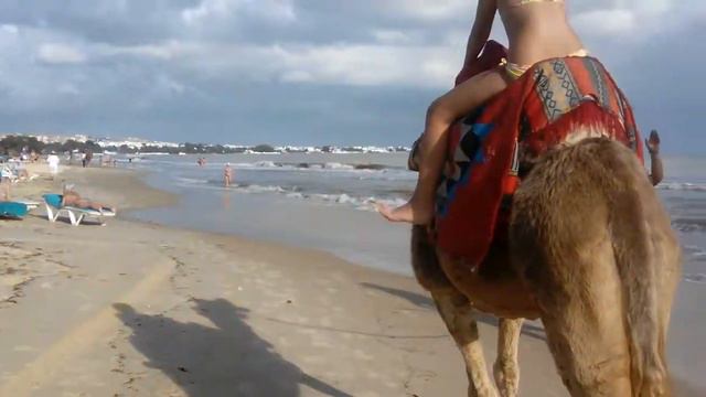 Я в Тунисе Катаюсь на верблюде смотреть онлайн