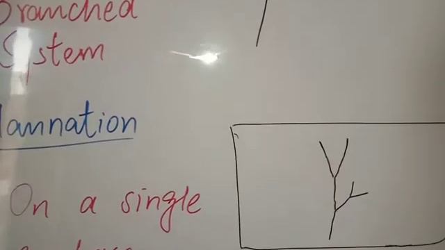 11th Biology Ch # 09 lecture # 07 смотреть онлайн