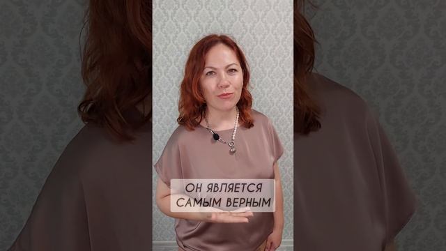 Как научиться слышать свою интуицию? смотреть онлайн