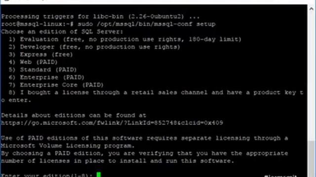 Install Microsoft SQL Server on Ubuntu Server смотреть онлайн