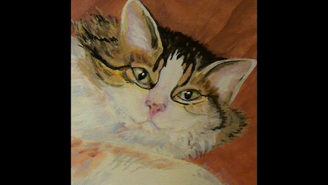 CATS commissioned by смотреть онлайн