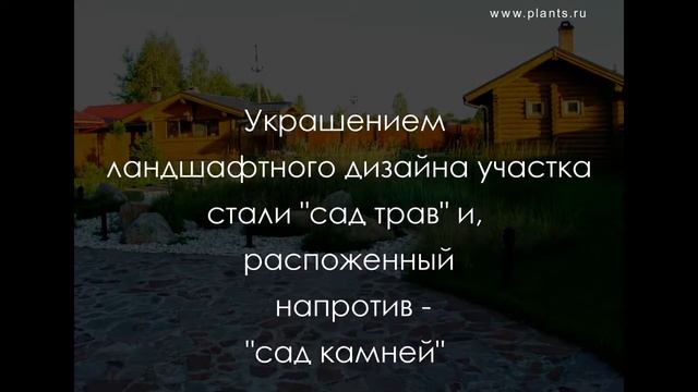 Ландшафтный дизайн участка 20 соток смотреть онлайн