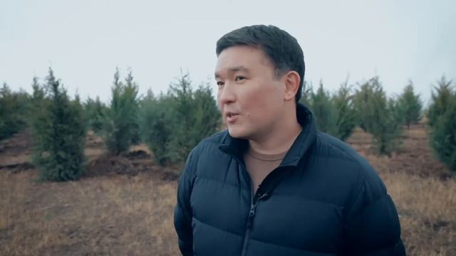 В Алматы появился сад деревьев в форме международного кода города Алматы — ALA смотреть онлайн