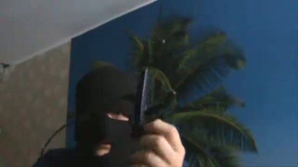 Скайфиши (skyfish - небесные рыбы).