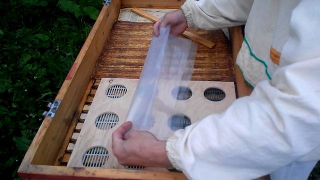 Сотовый Мёд В Банке. Улей Лежак на 24 рамки. Начало. смотреть онлайн