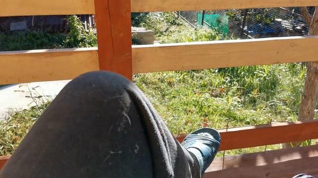 Сочи. Горное Лоо. Утро. +15°C. 13. 10.2023г.© смотреть онлайн