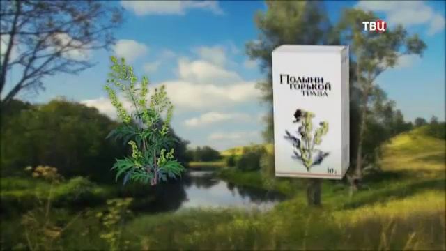 55 Полынь – это трава над травами смотреть онлайн