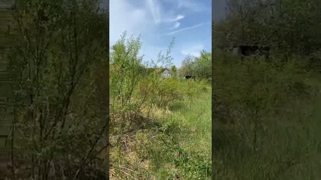Земельный участок (ЛПХ) смотреть онлайн