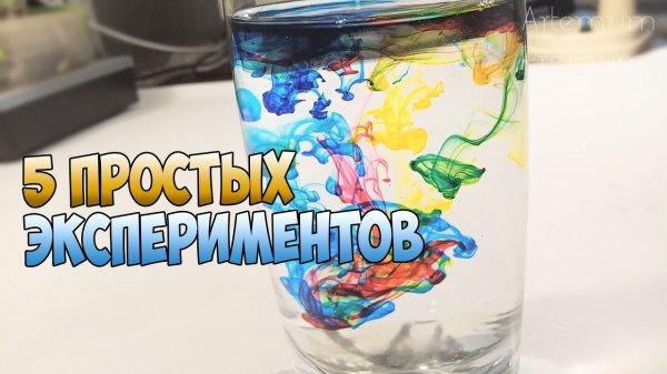 ✅5 простых экспериментов своими руками от Artemium Premium