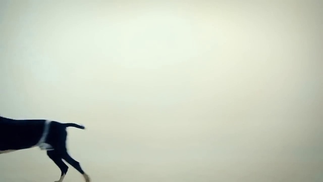 Пающие Трусы - Василёк (Осторожно! Нецензурная версия). Новости Жирновска - форум ЖИРАФ смотреть онлайн