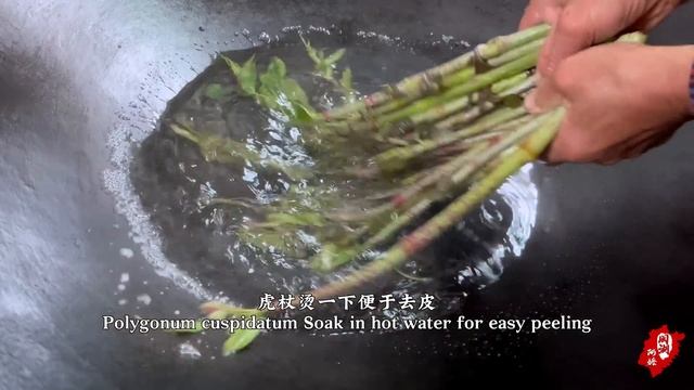 春季食百草，阿嬷摘4种野菜做美味，嫩绿清香酸辣下饭丨edible Wild Herbs【闽湖阿嬤FujianGrandma】